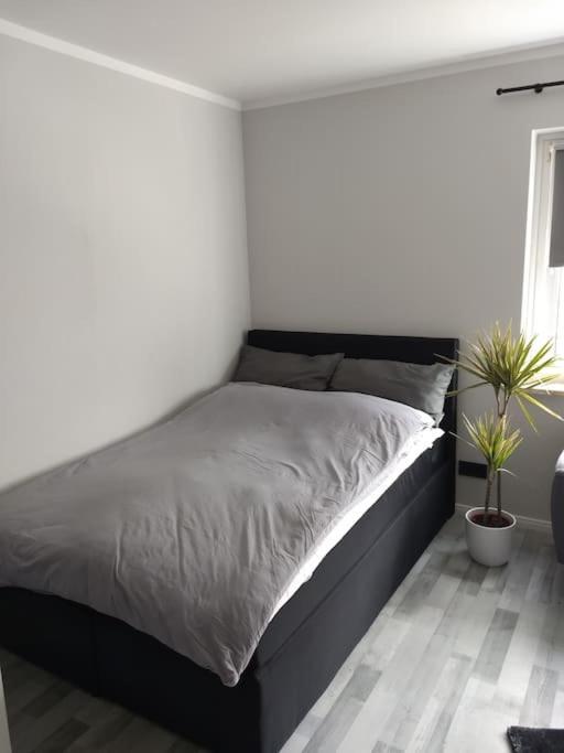 Apartment In 不来梅港 外观 照片